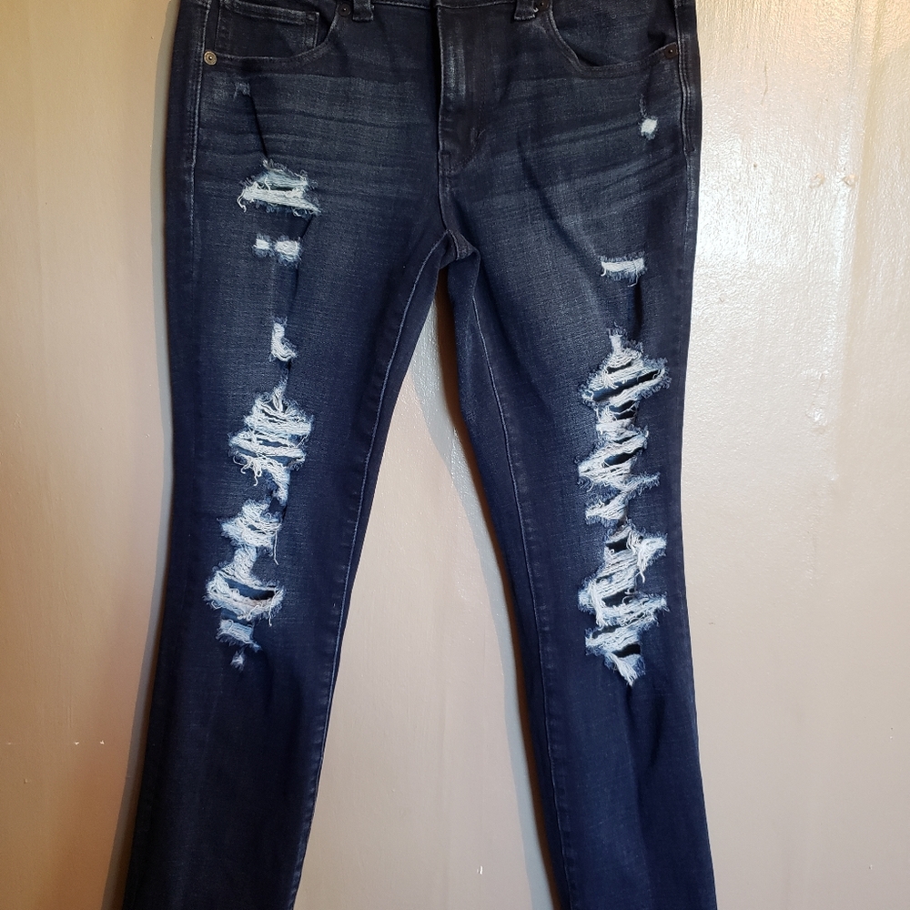 American Eagle Artist Crop Jeans